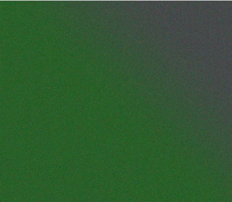 Avery Dennison® Supreme Wrapping™ Film ColorFlow™ | Gloss Hidden Forest