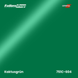 Farbmuster Kaktusgrün – Autofolie Oracal 751C-604