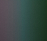 Avery Dennison® Supreme Wrapping™ Film ColorFlow™ | Gloss Urban Jungle I BJ0950001
